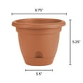 thumbnail image 6 of Bloem Lucca Self Watering Planter W/ Saucer 6.75 x 5.25 Plastic Round Terracotta, 6 of 6