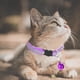 thumbnail image 5 of Collar reflectante para gatos con campana, collares para gatos de liberación rápida, collares reflectantes para gatos de liberación rápida, 5 of 5