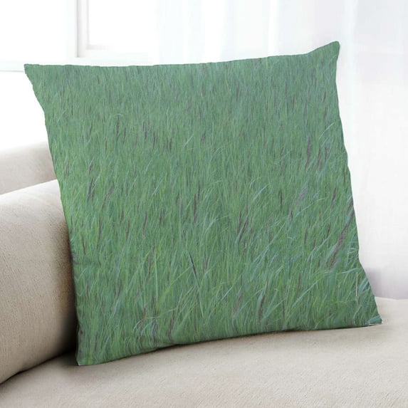Ahgly Company Plants Grass Indoor Throw Pillow, 18 inch by 18 inch