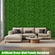 thumbnail image 5 of Paneles de pared de césped EverNature, helecho artificial, 6 unidades, 5 of 7