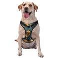thumbnail image 1 of Fotbe Whimsical Starry Night Scene Arnés para Perro con Estampado –Chaleco Ajustable Acolchado con Asa de Control para Perros Grandes-Medium, 1 of 6