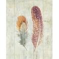 thumbnail image 2 of Nai, Danhui 20x24 Black Ornate Wood Framed with Double Matting Museum Art Print Titled - Natural Flora XI, 2 of 4