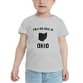 thumbnail image 2 of I'm A Big Deal in Ohio Cute Toddler T Shirts for Boys Girls (Gray, Youth L), 2 of 5