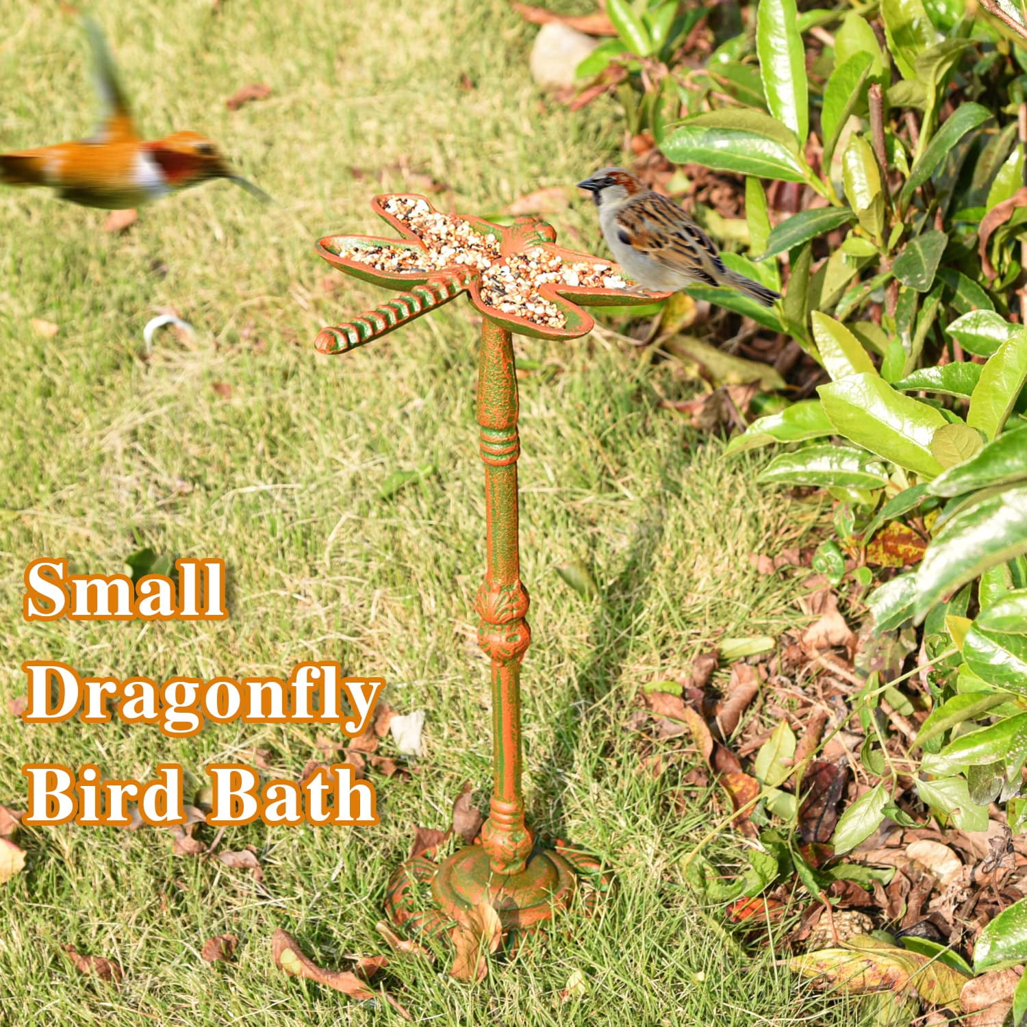 Sungmor Heavy Duty Cast Iron Small Bird Bath for Garden, Wild Bird Water Bath Food Holder, Outdoor Yard Standing Feeder with Vintage Special Color & Lovely Dragonfly Shape, Great Garden Ornament