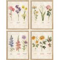 thumbnail image 2 of PixonSign Framed Wall Art Vintage Floral Birth Month Botanical Prints Antique Flower Illustrations Posters, Set of 4 Multicolor Nature Wilderness Canvas Prints for Home Decor - 12"x16" Natural, 2 of 5