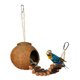 thumbnail image 1 of Escondite de coco natural con escalera, juguetes para pájaros y bichos, nido de pájaros, juguetes para pájaros (1 paquete) Sincero Electrónica, 1 of 4