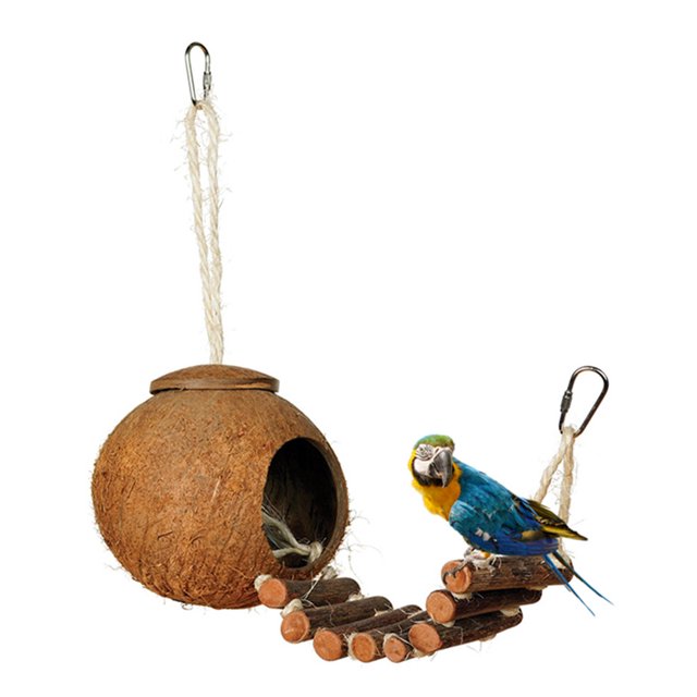 Escondite de coco natural con escalera, juguetes para pájaros y bichos, nido de pájaros, juguetes para pájaros (1 paquete) ER