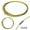 Gold, variant on Stainless Steel Choker Necklace Chains - 12 Pack of Jewelry Making Necklace Cords