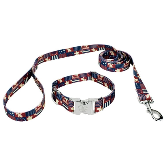 Country Brook Petz® Premium Spirit of '76 Dog Collar and Leash, Large