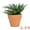 Dark Green, variant on Unique Bargains Artificial Sago Palm Plant in Ceramic Pot Gray-Green 6.3"