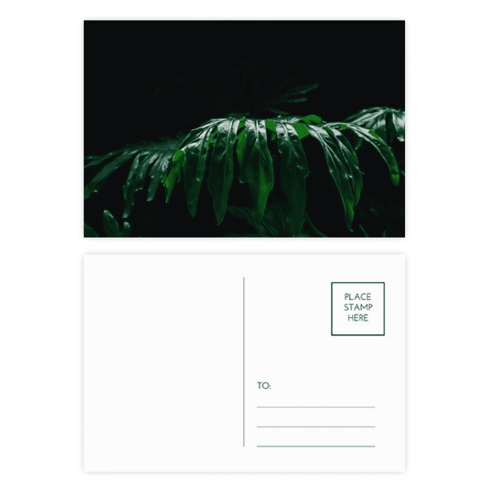 photography picture nature postcard set birthday mailing thanks greeting card