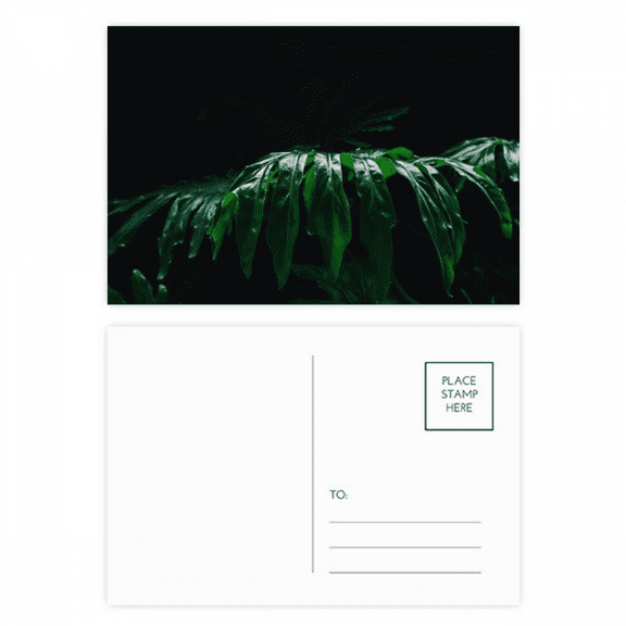 photography picture nature postcard set birthday mailing thanks greeting card