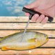 thumbnail image 1 of Herramienta de ventilación de pescado Desventra de pescado Desventricación de pescado Herramientas de pesca con aguja de aguja hueca, 1 of 9