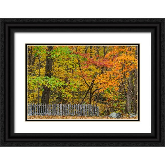 Galloimages Online 14x11 Black Ornate Wood Framed with Double Matting Museum Art Print Titled - Fall Fence Scene