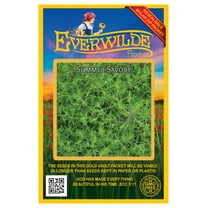 Everwilde Farms - 2000 Summer Savory Herb Seeds - Gold Vault Jumbo Bulk Seed Packet