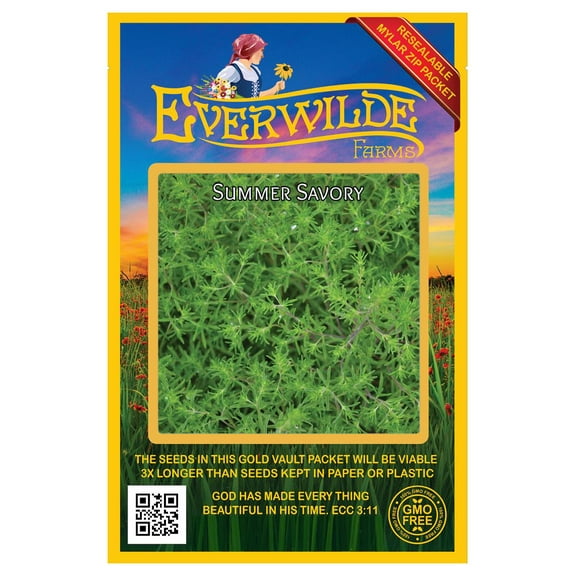 Everwilde Farms - 2000 Summer Savory Herb Seeds - Gold Vault Jumbo Bulk Seed Packet
