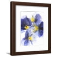 thumbnail image 1 of Purple and Yellow Pansies, Botanical Framed Art Print Wall Art by Joerg Lehmann Sold by Art.Com, 1 of 1