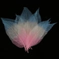 thumbnail image 3 of simhoa 50 Pieces Natural Magnolia Skeleton Leaf Leaves Scrapbooking Pink+Beige+Blue, 3 of 8