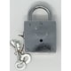 thumbnail image 2 of Trick Lock - El misterio de la llave espinosa Retroworks Golden Key, 2 of 2