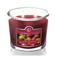 thumbnail image 2 of Colonial Candle Apple Orchard Scented Jar Candle - Classic Ovals - 2 Wick - 3.5 oz - 20h Burn, 2 of 5