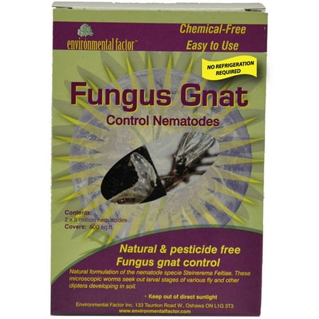 The Environmental Factor 4003220 500 Sq Ft Fungus Gnat Control Nematodes 2-Count