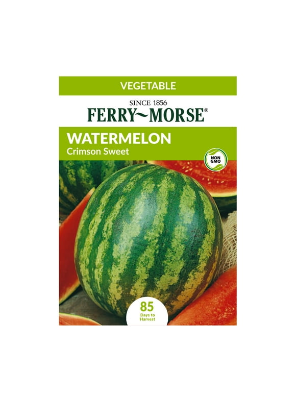 Melon Seeds in Seed Gardening