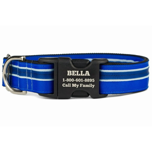 If It Barks Personalized 1" Striped Dog Collar - Engraved Name - Custom Size, Blueberry