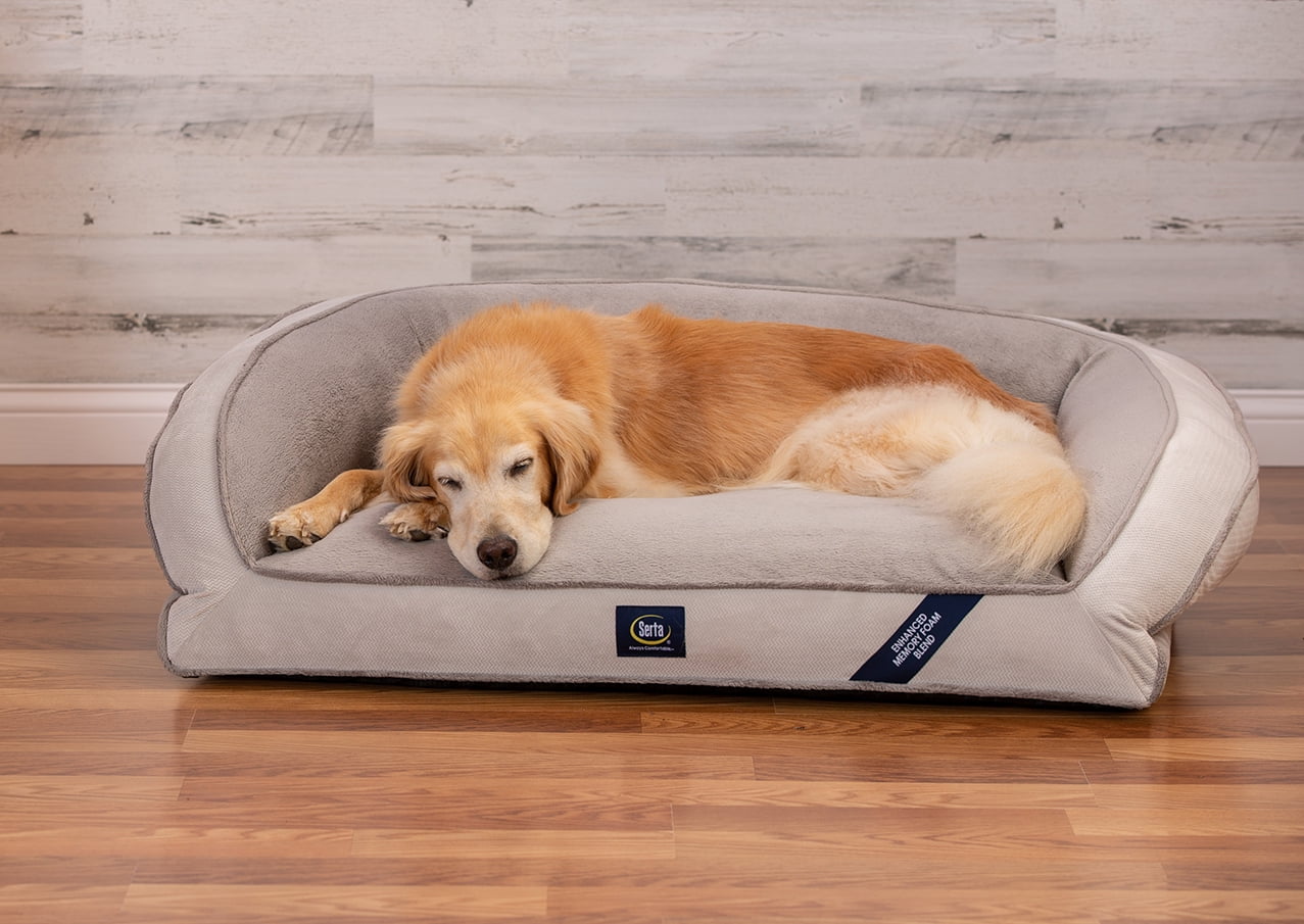 x large dog bed