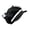 Black, variant on 2000s Subcultural Cats Ear Berets Hat For Women Teens Theme Hat for Fashion Enthusiasts Photography Casual Headwear
