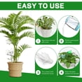 thumbnail image 6 of 6pcs Self Watering Globes for Indoor Plants, Self Watering Planter Insert, Self Watering Devices for Plant Lovers, 6 of 7