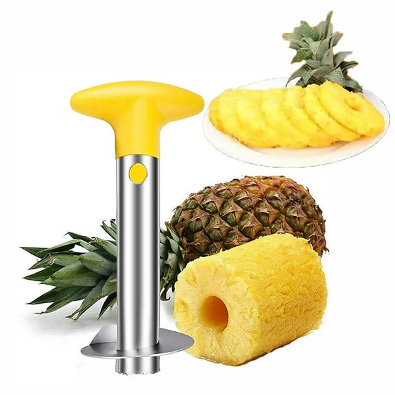 Pineapple Slicer Stainless Steel Cutter Kitchen Fruit Corer Peeler Remover Set