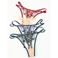 thumbnail image 2 of Tangas con bordado floral, bragas de malla transparente con aberturas, lencería y ropa interior sexy para mujer, 2 of 5