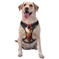 thumbnail image 1 of Balery Chef Chicken With Beer Bottles Arnés para Perros Grandes Antitirones, Arnés con Correa para Gato, Arnés Tipo Chaleco para Perros Pequeños-Small, 1 of 6