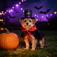 thumbnail image 5 of Aoznliie Dog Clothes, Halloween Pet Cloak with Hat for Party Apparel, 11x4 inch Adjustable Costume Set for Cats Dogs, Red, 5 of 6