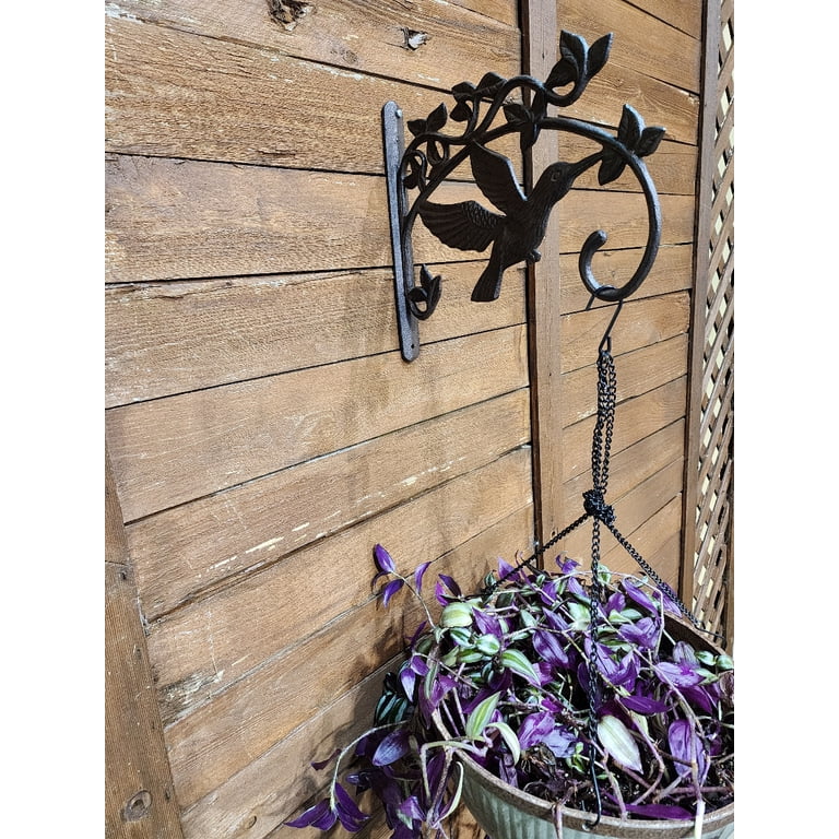 Decorative Hummingbird Cast Iron Plant Hanger Hook - Large 11.25" Deep