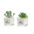 thumbnail image 1 of 2 uds simulación en maceta pequeña espada hierba bergamota suculentas decoración lavabo de vidrio suculenta decoración de escritorio, 1 of 6