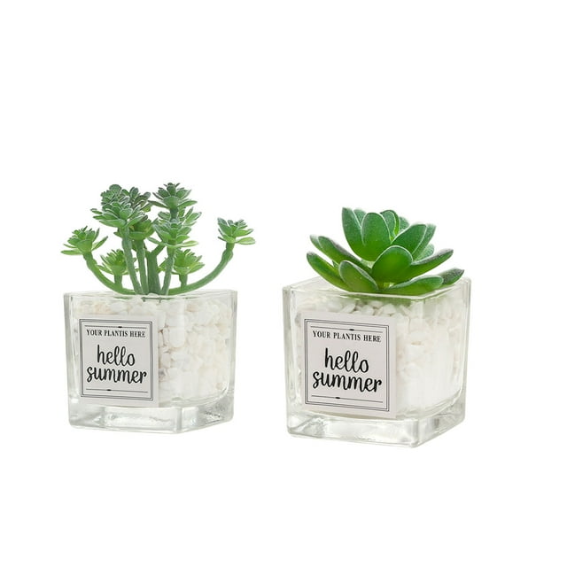 2 uds simulación en maceta pequeña espada hierba bergamota suculentas decoración lavabo de vidrio suculenta decoración de escritorio