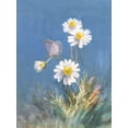 thumbnail image 2 of Nai, Danhui 15x18 White Modern Wood Framed Museum Art Print Titled - White Daisies, 2 of 4