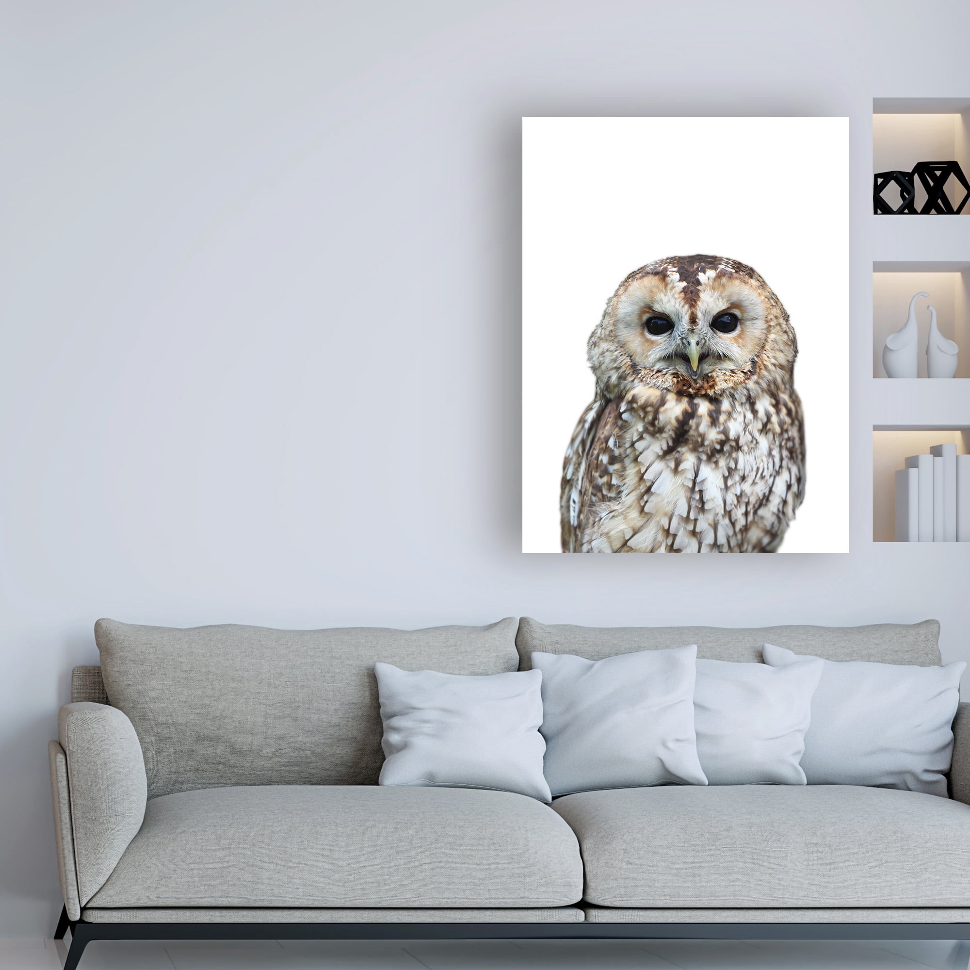 Trademark Fine Art 'Owl Portrait' Canvas Art by Lexie Gree