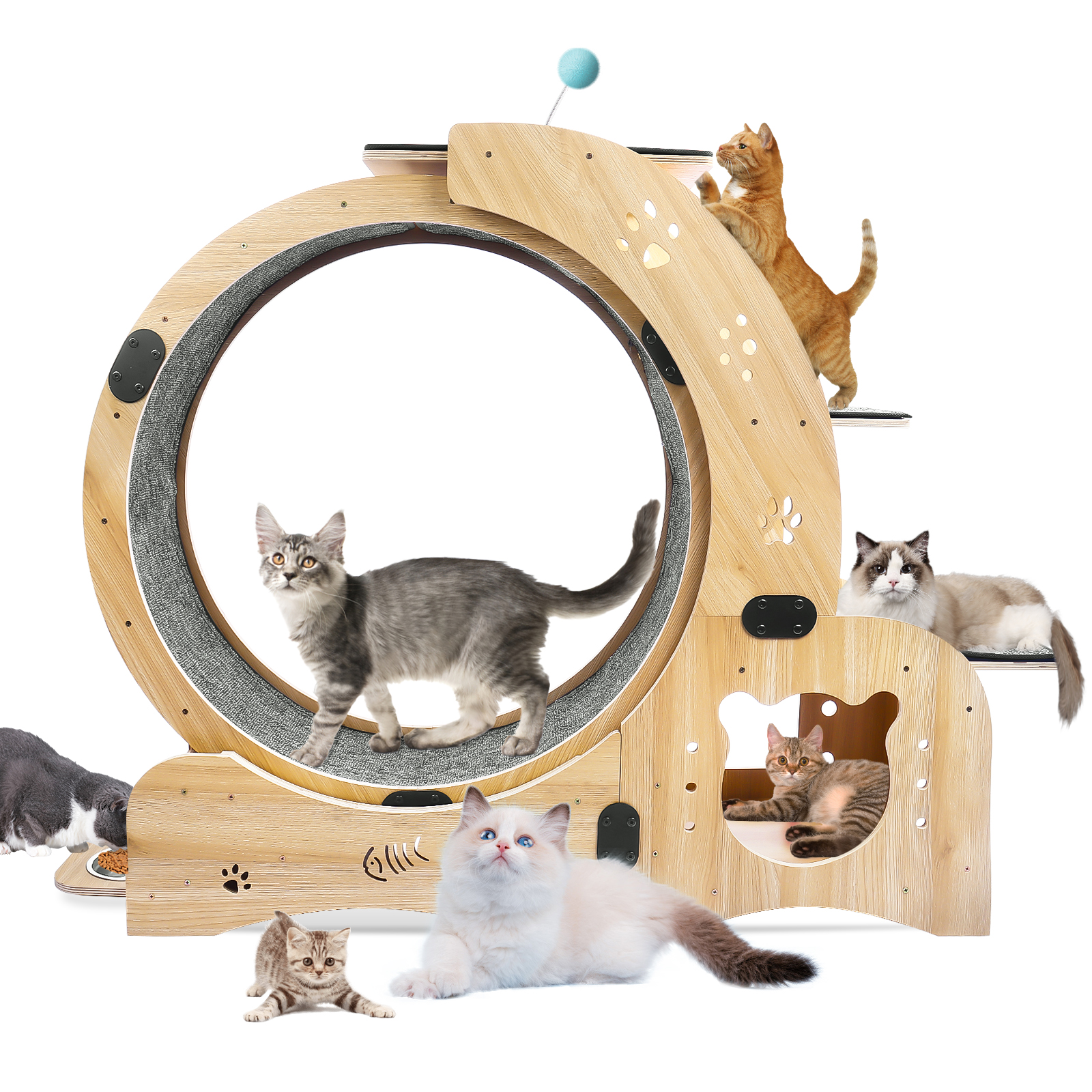 Cat Exercise Wheel for Indoor Cat, 42" Large Diameter Cat Running Wheel, 4-in-1 Cat Exercise Treadmill Wheel with Climbing Ladders & Scratching Board, Ultra Quiet Cat Treadmill Wheel for Daily Fitness