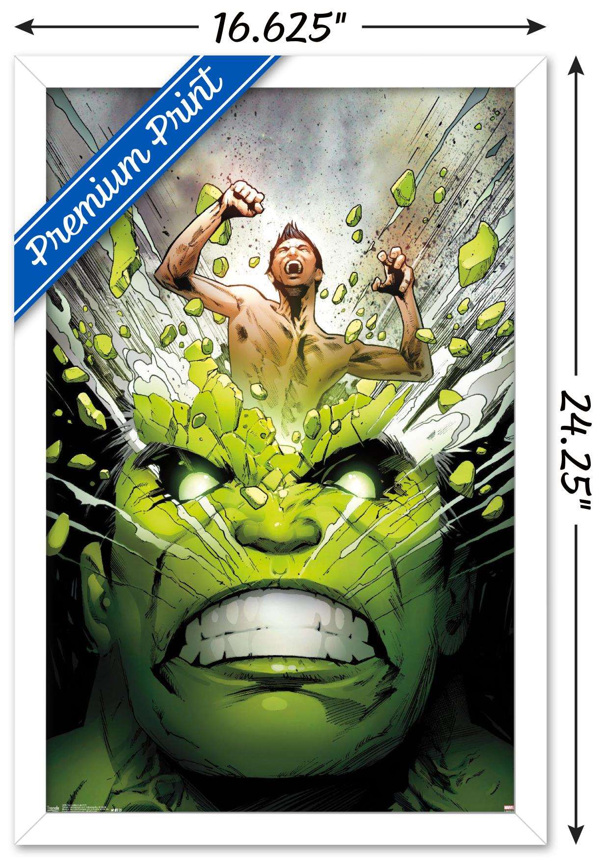 Marvel Comics - The Incredible Hulk - Cover #171 Wall Poster, 14.725" x 22.375", Framed