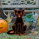 thumbnail image 2 of Wosthever Letreros de jardín duraderos y elegantes Cat para un ambiente festivo Creando un ambiente festivo Letrero de pila de tierra Kits de decoración para fiestas B, 2 of 6