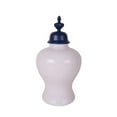 thumbnail image 1 of Benzara BM163282 Pot Recouvert de Céramique de Conception Traditionnelle&44; Blanc & Bleu, 1 of 1