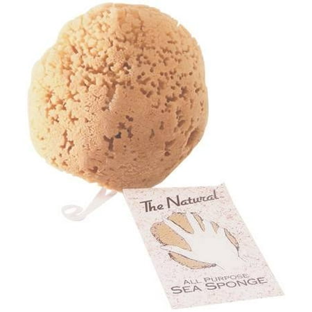 Acme Sponge & Chamois Co Y6070C Natural Yellow Sponge Cut 6-7