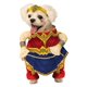 thumbnail image 1 of Rubie's 580717_S Wonder Woman disfraz de mascota, pequeño, 1 of 1