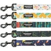 Downtown Pet Supply Strong Durable Dog Leash Lead - Pineapple 6' Foot (L) x 1" Inch (W)