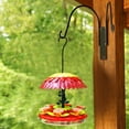 thumbnail image 7 of Hummingbird Feeder 16 oz with Ant Moat & 6 Feeding Ports for Outdoors Hanging,Plastic-1 Pack, 7 of 7