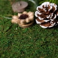 thumbnail image 4 of BalsaCircle 18" x 16" Green Natural Preserved Moss Sheet Wedding Party Crafts Centerpieces Decorations, 4 of 8