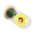 thumbnail image 1 of Embrague de Aleación de Zinc NikouMX para C350 B450 B530, 1 of 8