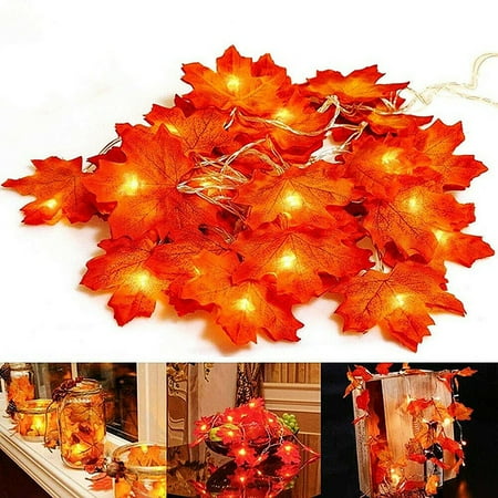 Fall Leaf Lights 20/40/80 LED USB Maple Leaf String Lights Decor, Fall Garlands String Light for Halloween Christmas Decor ()